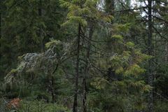 IMG_6410