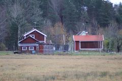 IMG_6418