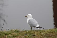 IMG_6933
