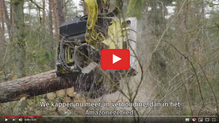 Brandstof Biomassacentrale Arnhem schone Woodchip Biomassa wordt ook gemaakt van hele bomen