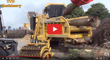 Brandstof Biomassacentrale Arnhem schone Woodchip Biomassa wordt ook gemaakt van hele bomen