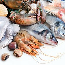 Poissons et Crustacés
