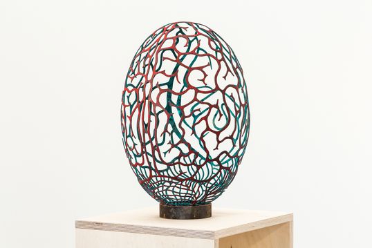 Egg rød-blå