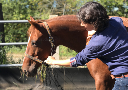 Halsmassage - arsmanus Halsmassage - arsmanus