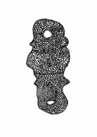 Diatomeen_06_600_grau_webQ15