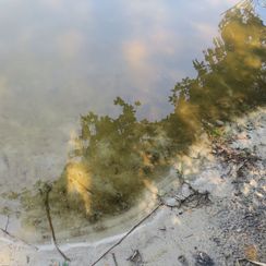 brackwasser03
