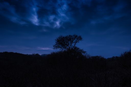 _DSF3644