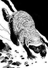 honeybadger_1200dpi