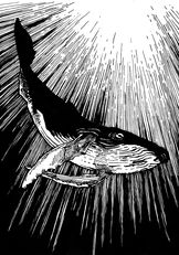 humpback_1200dpi
