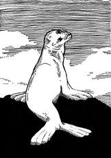 seal_1200dpi