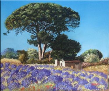 Cabanon de Sulauze - Provence