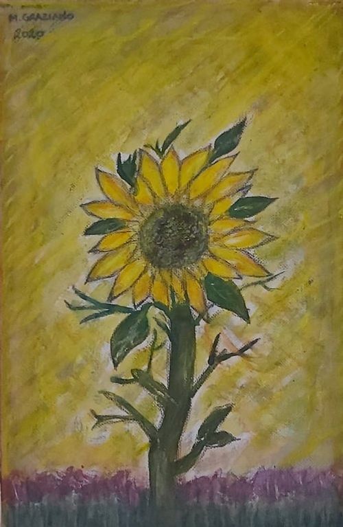 Tournesol, technique mixte, 30*20