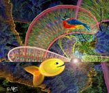 FishAndBird