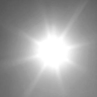 felle zon