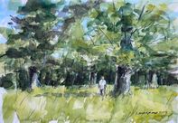 En tur under trækronerne i Fredensborg Slotspark