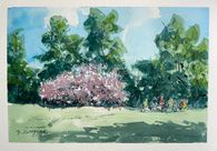 Sommer i parken