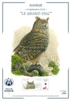 Exposition André Buzin  Le Beffroi-Namur 
samedi 8 septembre 2018