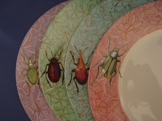 Série d’assiettes de présentation, insectes travailler en lustre 
©  Vivianne Hardy