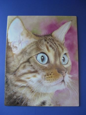 Chat plaque porcelaine 30cm sur 21cm
©  Vivianne Hardy