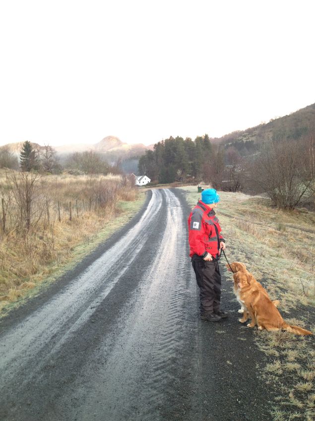 I formiddag var det nydelig vær hos oss. Annika og jeg gikk en lang tur med hundene våre. Hundene storkoste seg når de kunne løpe fritt omkring. Mine skal ligge i bur hele julekvelden, da er det viktig at de har løpt mye. Nå ser jeg frem til å feire julekvelden med Anne og hennes familie