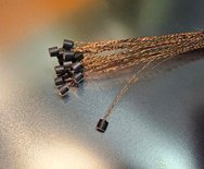 Hall sensor array Hall sensor array