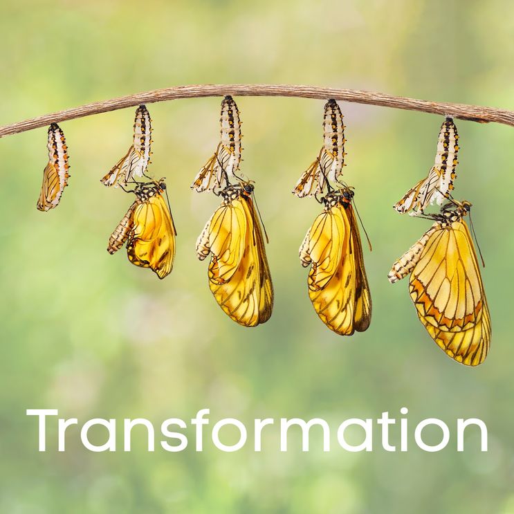 Transformation