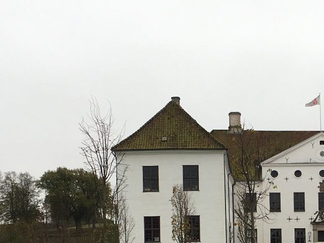 På opsamling på Clausholm Gods. Dagen forløb rigtig fint med mange fine situationer. Et spændende terræn med mange højtflyvende fasaner. 