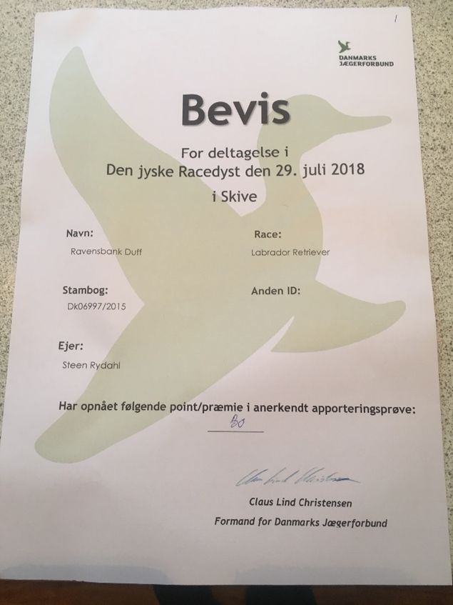 Sølvholdet fra DM for hold var var blevet inviteret til at deltage i den årlige racedyst arrangeret af Danmarks Jægerforbund. Ole Meinert,  Jesper Thrue, og jeg deltog i arrangementet. Dette var et meget anderledes arrangement end vi var vant til hvor vi skulle dyste med de kontinentale stående hunde og andre retriever racer. Ravensbank Duff fik Max point sammen med en del andre. Prøverne var ikke svære for en retriever og det er efter min mening ikke helt fair overfor de stående hunde. Jespers hund bleve desværre bidt eller stukket af noget der sad på en kanin hvorefter den selvfølgelig slap kaninen. Mund og næse skummede på hunden efter dette, og dommeren trak 3 point. Der blev ingen holdplacering for os men Ole Meinerts blev bedste individuelle hund i en matching mellem alle hunde med max point. Dette blev afgjort ved at der skulle hentes 2 duer på tid.
De 3 placerede hold blev som følger:

1 hold vinder Flatcoat Retriever
2 holdvinder Weimeraner
3 holdvinder Golden Retriever