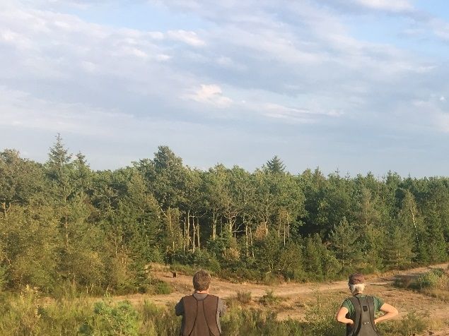 Trænede i gode venners lag i et fantastisk varieret terræn med vekslende terrænskift og vand. Lars Krabbe havde forberedt nogle rigtig gode dirigerings- og markerings opgaver med adskillige terrænskift undervejs. Lige hvad Duff havde brug for at træne. Hope og Bizy blev også dyppet med markinger over en sø og op på den anden side, samt efterfølgende markeringer i kuperet terræn med power poofer. Super god aften. 