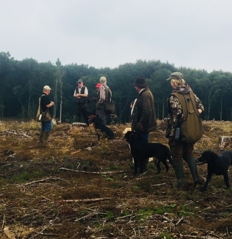 Billede copyright: Ulla Lindner
Deltog idag i walk-up træning med Bumper Boy på Fyn som Ulla Lindner havde taget initiativ til. Niels Henrik fra Kennel Beechbrook stod for træningen i et særdeles vanskeligt kuperet terræn med adskillige grøfter og stød. Træningen overgik mine forventninger og det blev tydeligt for alle deltagerne hvor vigtigt Heel-work er i denne diciplin. Hunden skal altid følge en, uanset hvordan man drejer rundt, går forlæns eller baglæns. Når der letter en 