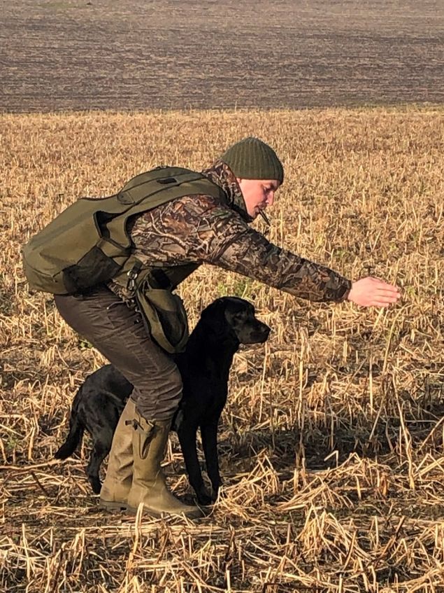 Beechbroook Abbey Breewing er en fantastisk hund som vi forventer meget af på A-prøver. Hun har en enestående ro og koncentrationsevne. Hun er skarp på markering på land og vand og udmærker sig ved at have en medfødt evne til at holde området. Hendes næse er rigtig god og når hun kommanderes ud i frit søg, trækker hun nogle lange færter, og løber som regel lige ud og snupper et stykke vildt.  Hun er let diriger bar, stopper velvilligt på fløjten, og løber nogle fine lige linier. Fri ved fod har altid været naturligt og det er ikke noget man tænker på når der arbejdes med hende, hun går altid som hun skal. Det hænger igen sammen med den naturlige ro. Abbey har i øjeblikket en 1. præmie i åbenklasse B, og vi tror på at hun er vinder kvalificeret inden efteråret. Hun har i hvert fald niveauet. Hun vil blive ført både i DRK og RJK regi. Abbey's sundhed er helt i top:
HD index: 105
HD: A
AD: 0
OCD: Fri
SD2: Fri
EIC: Fri
PRA: Fri via forældre
CNM: Fri via forældre
Øjenlysning inden parring.
 