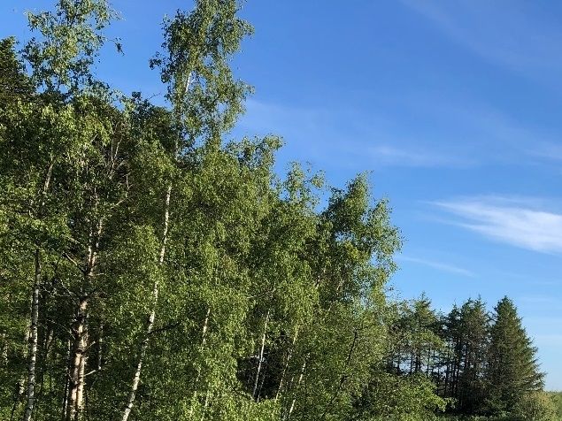 Prøven var arrangeret i et fantastisk dejligt område.
Christian stillede op med Beechbrook Abbey Breewing og jeg stillede op med Seahill Highwind Purdeys Bizy. Vi bestod begge to så nu skal vi videre til Åben klasse WT. 