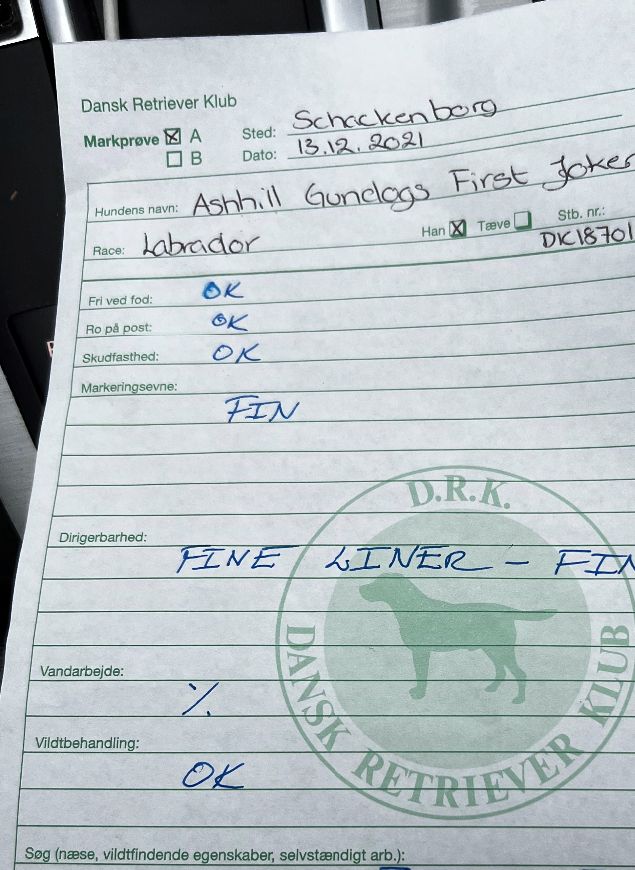 3.UHM21 Ashhill Gundogs First Joker var i dag på Åben klasse A prøve på Schackenborg og fik en 1. præmie. Det blev til 7 apporteringer hvor  den sidste var en løber i et åbent skovstykke som han hurtigt indfangede i fin stil. Han gjorde det rigtig godt og jeg er glad for Jan Lorenzens fine kritik. 
Nu er vi kvalificeret til vinderklasse og skal til at lege med de store drenge. Det bliver sjovt 😅