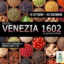 Locandina Conegliano QUADRATO b
