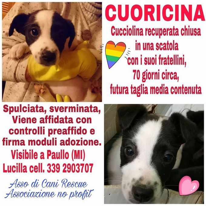 !!!ADOTTATA!!!