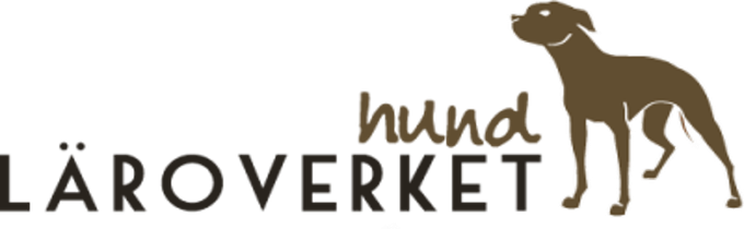 Bild5