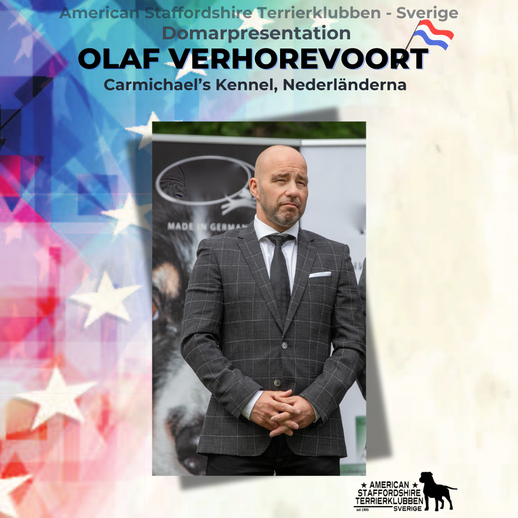 domarpresentation 2025 2