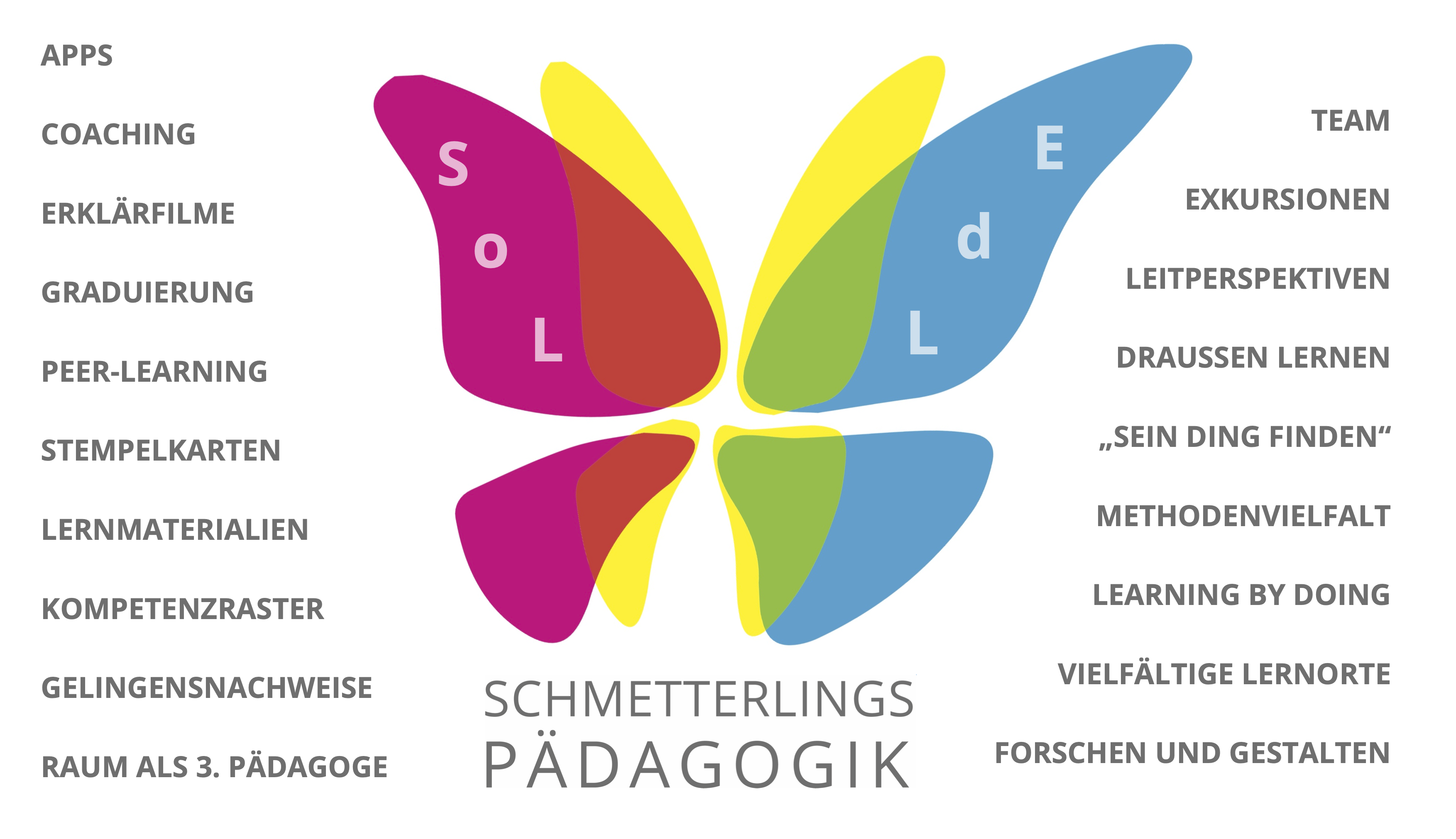 Die Schmetterlingspädagogik: Ein innovativer Ansatz für individuelles Lernen