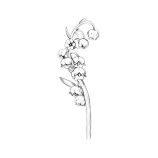 Gaetan Dep - Lily Of The Valley