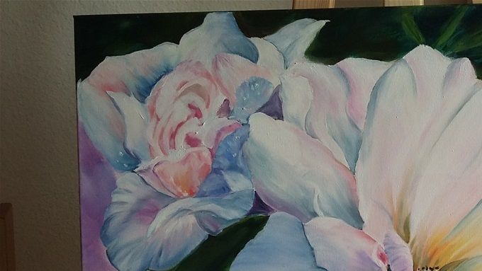 Weisse Rose