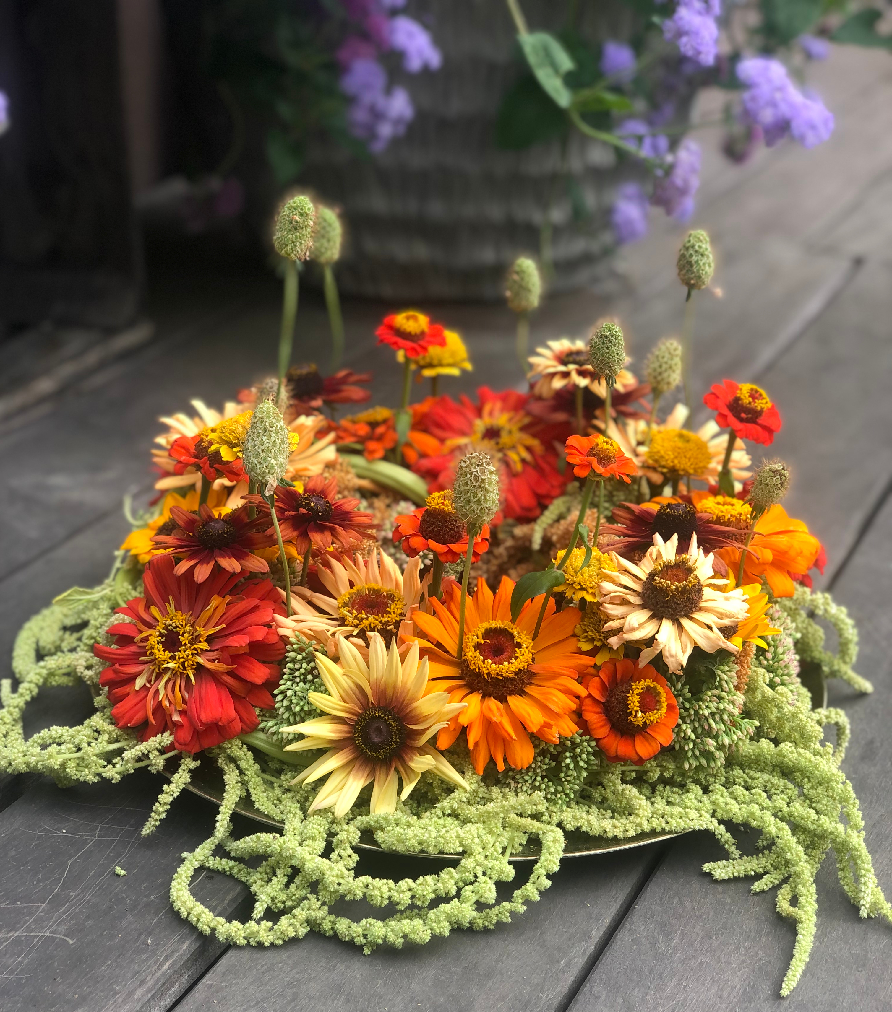 fullsizeoutput_3de5___serialized1