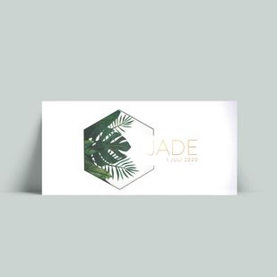 Geboortekaartje Jade