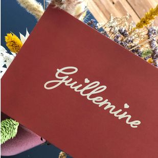 Geboortekaartje Guillemine