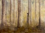"In to the woods"