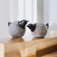 Koppel vogeltjes