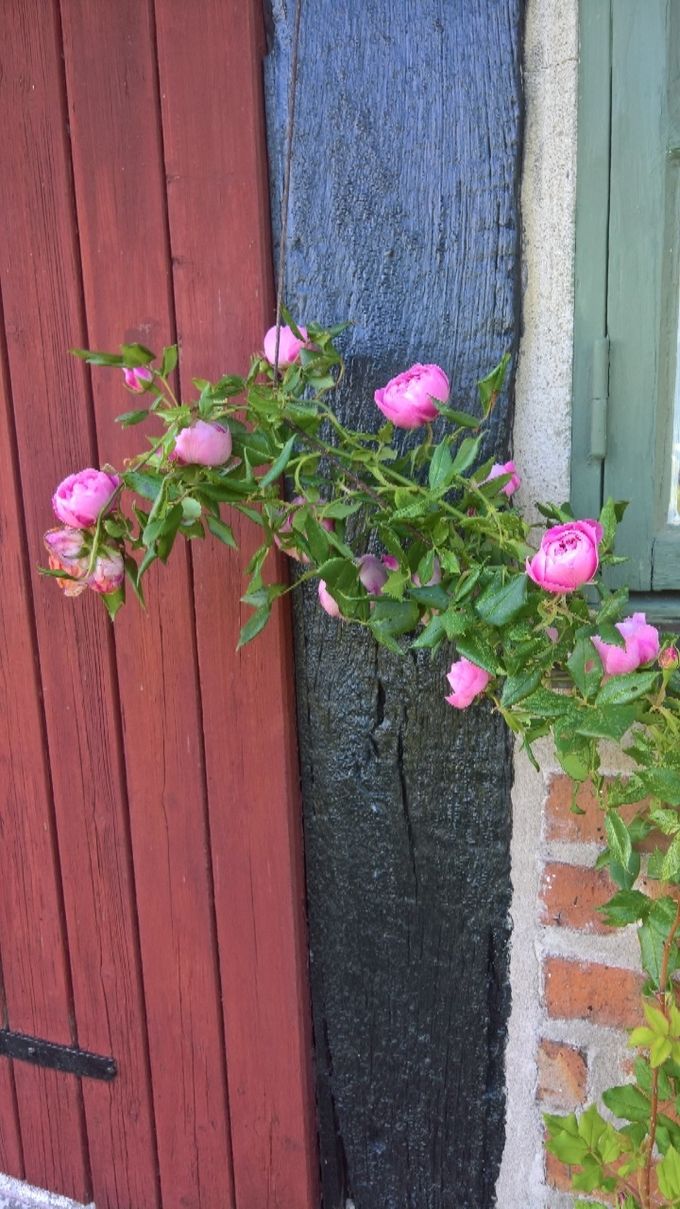 Det finns många vackra detaljer...
