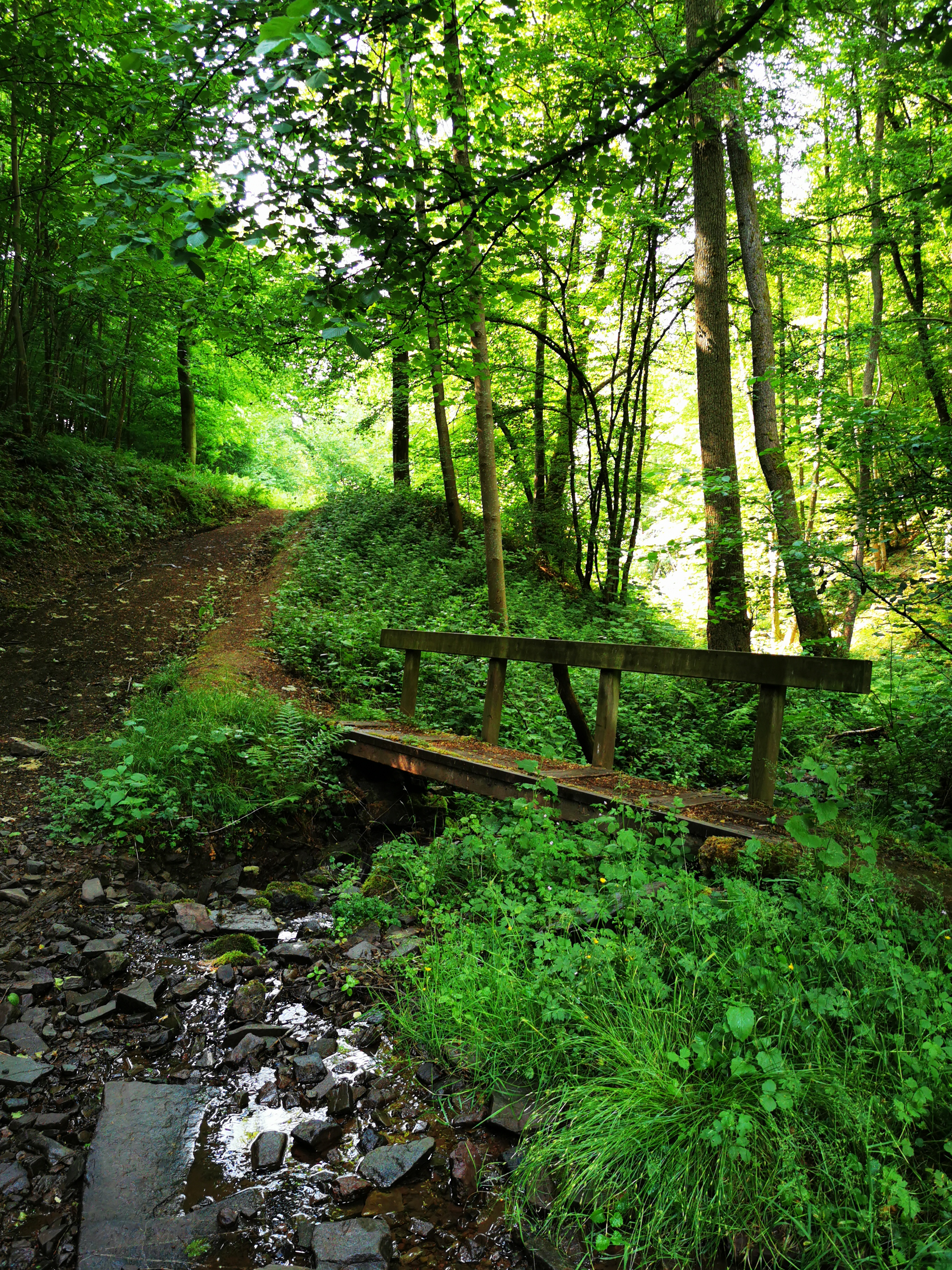 Deux façons de franchir un ruisseau