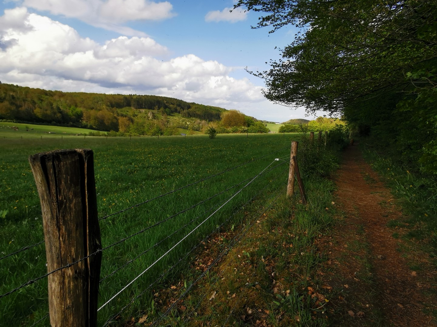 Entre forêt et campagne