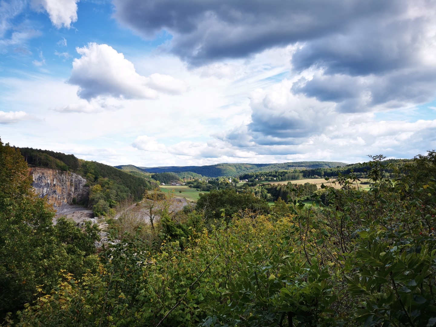 La Roche aux Faucons