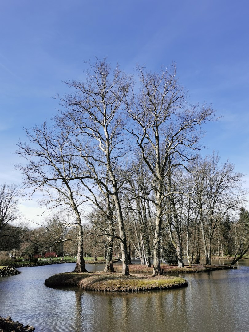 Même en hiver le parc reste beau